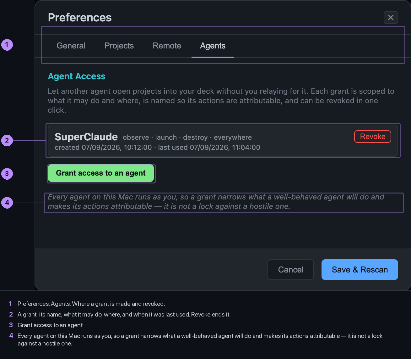 Preferences, Agents tab, with one grant listed