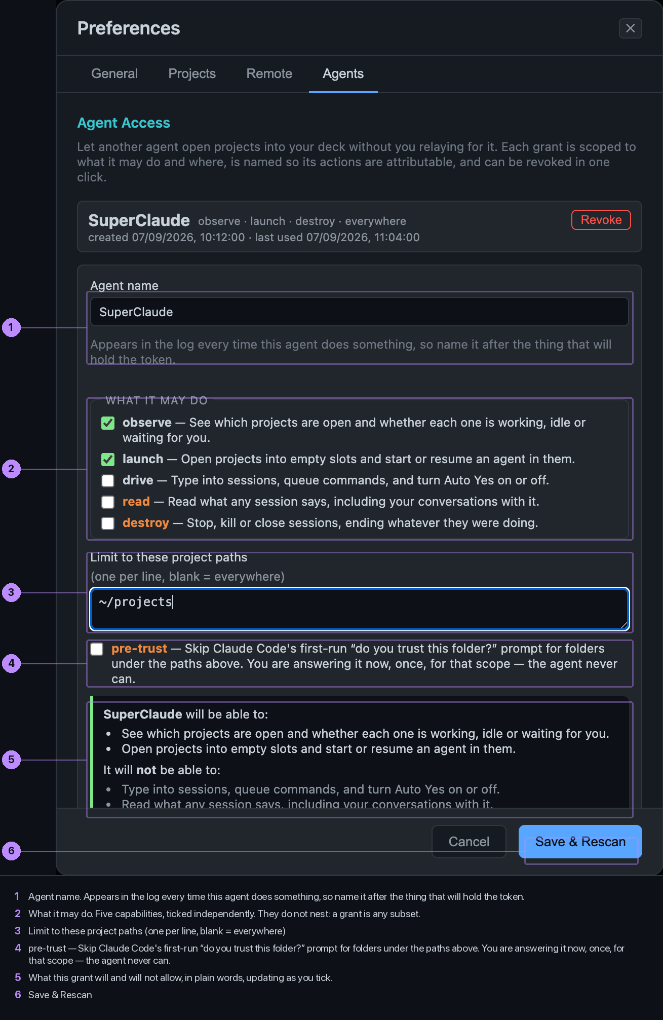 The grant form, with the plain-language summary of what the agent will and will not be able to do